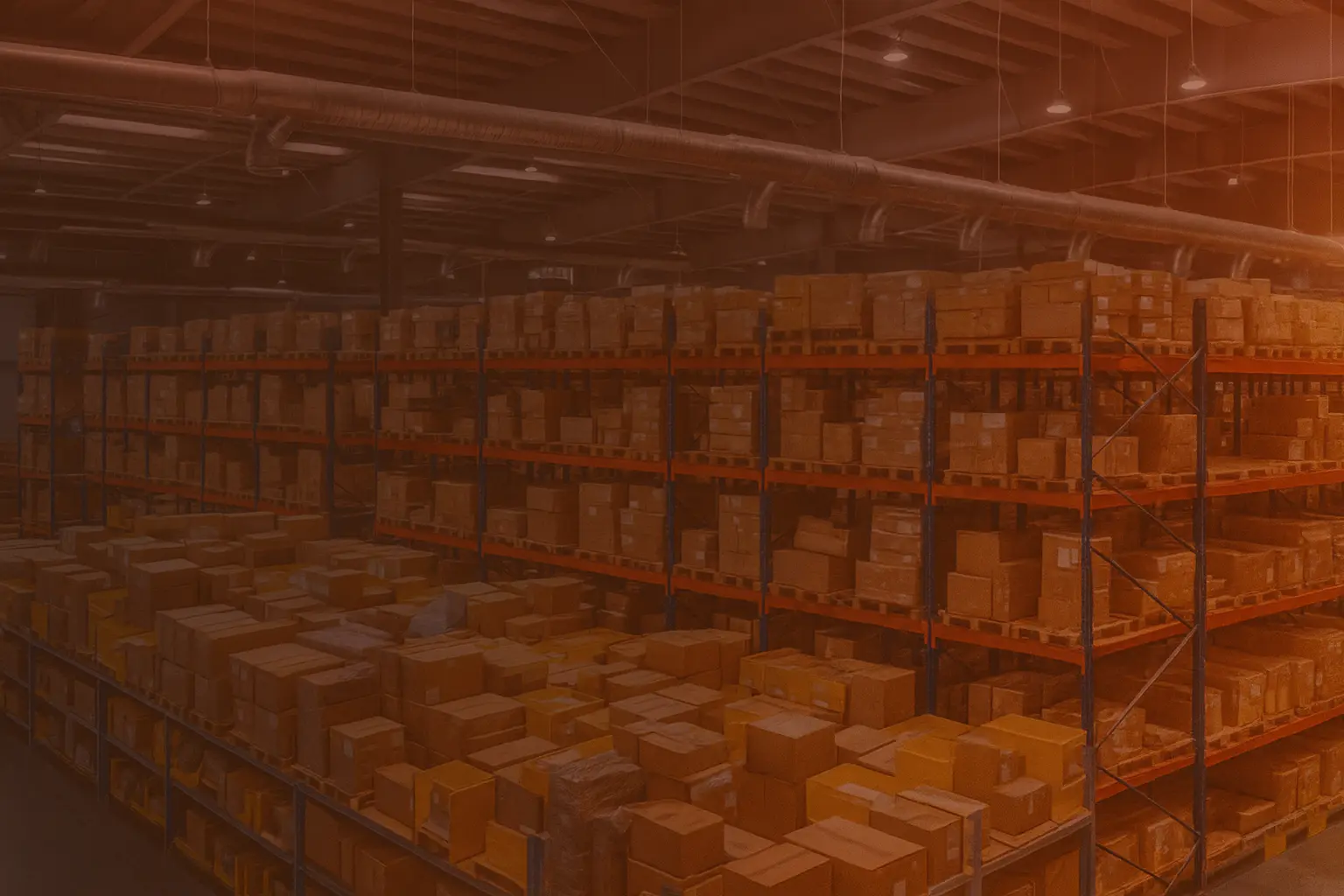 Lion & Leo integrated supply chain operations